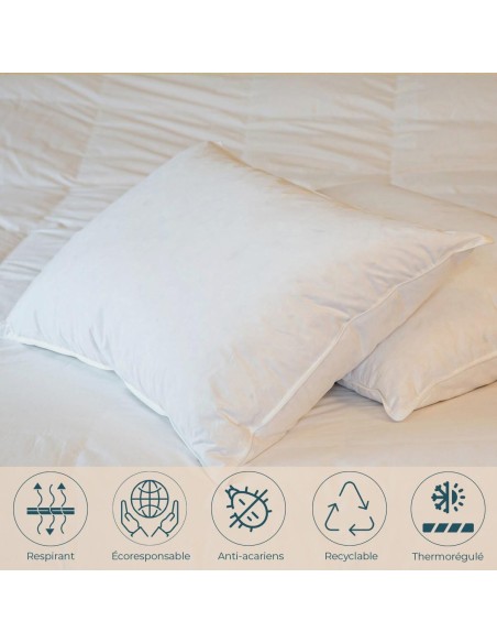 Oreiller plat moelleux Duvet-Plumettes neufs canard