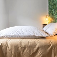Édredon gonflant blanc 90% duvet neuf canard enveloppe coton bio 2