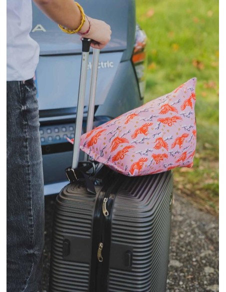 ISIDOR Kushiro | Coussin de voiture ado, adulte | Petits Cadors