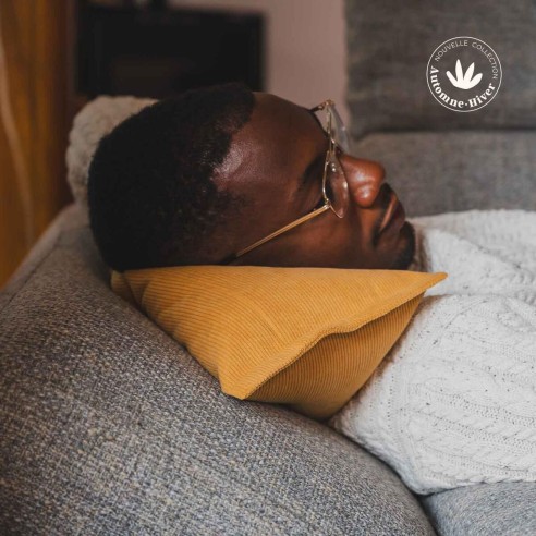 SALVADOR Stockholm | Coussin cale nuque velours | Petits Cadors